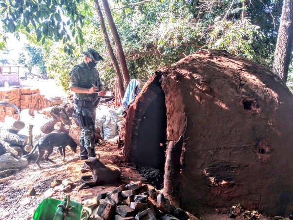 Mais de uma tonelada de carvão vegetal é apreendida durante operação da Polícia Ambiental Mais de uma tonelada de carvão vegetal é apreendida durante operação da Polícia Ambiental