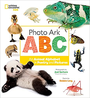 ABC photo Arc