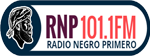 RNP 101.1 FM