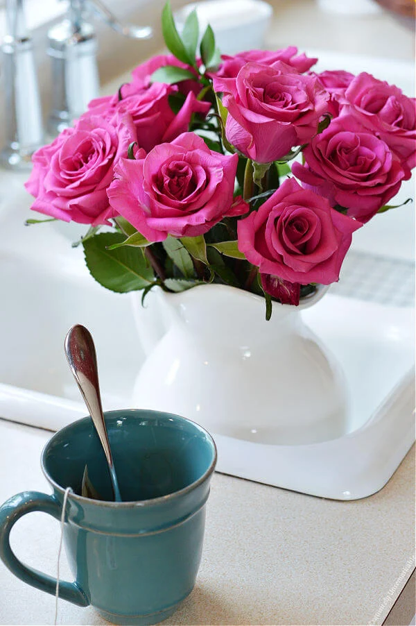 Hot Pink Roses In Sink