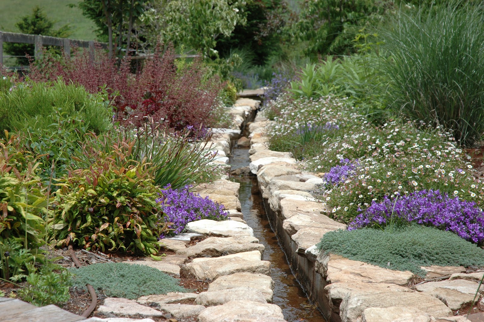 the lime walk: BEFORE AND AFTER - THE RILL ON THE FARM