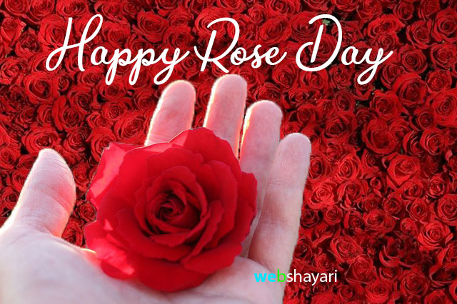 happy rose day images