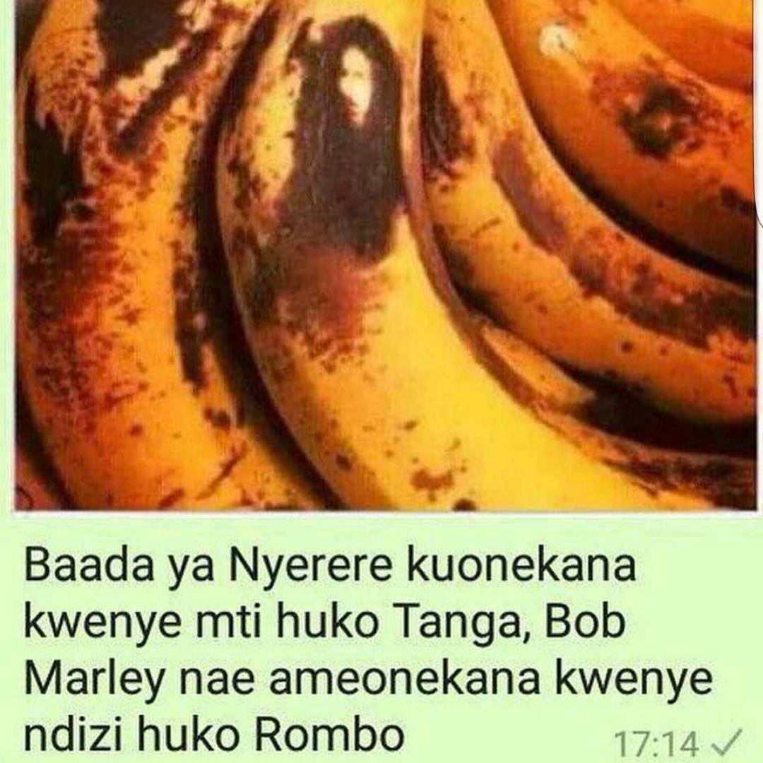 Funny and joke photo of the day Bob Marley photo has been seen on