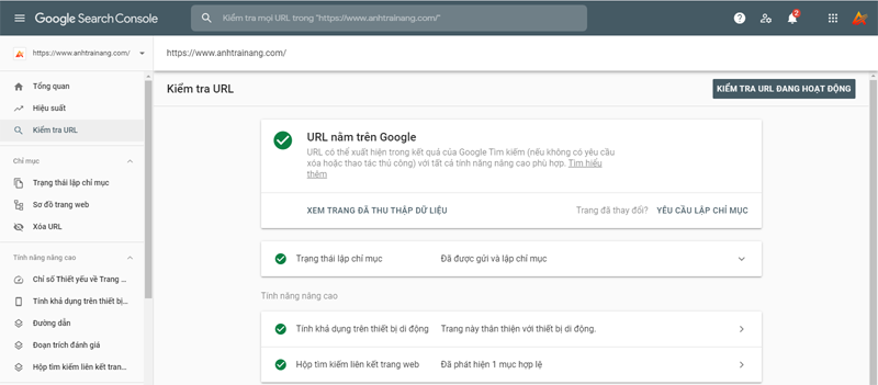 Giao diện đã lập chỉ mục Blog trên Google Search Console