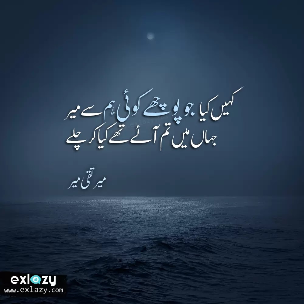 The Best 2 Line Mir Taqi Mir Poetry in Urdu - Meer Shayari
