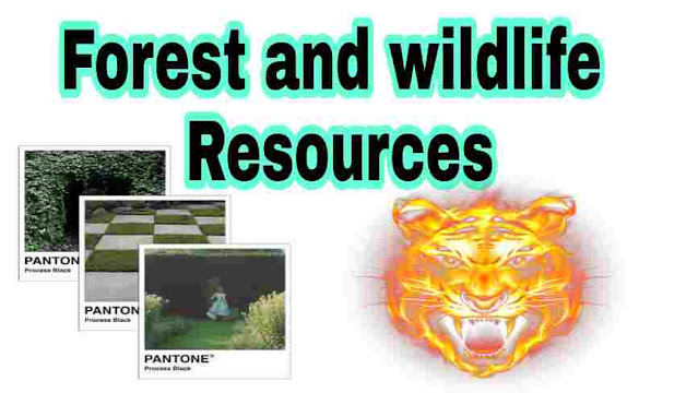 Forest and wildlife Resources