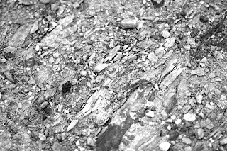 Quarrying-of-stones