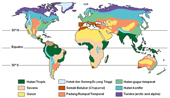 Portal Geografi Karakteristik Bioma Di Dunia