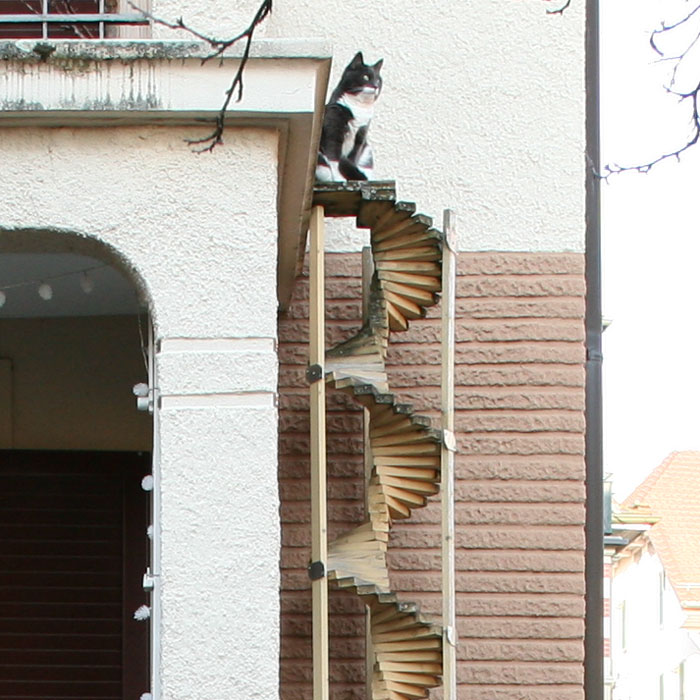 La ciudad suiza de Berna está llena de escaleras para gatos