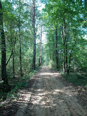 W drodze na Długie Bagno