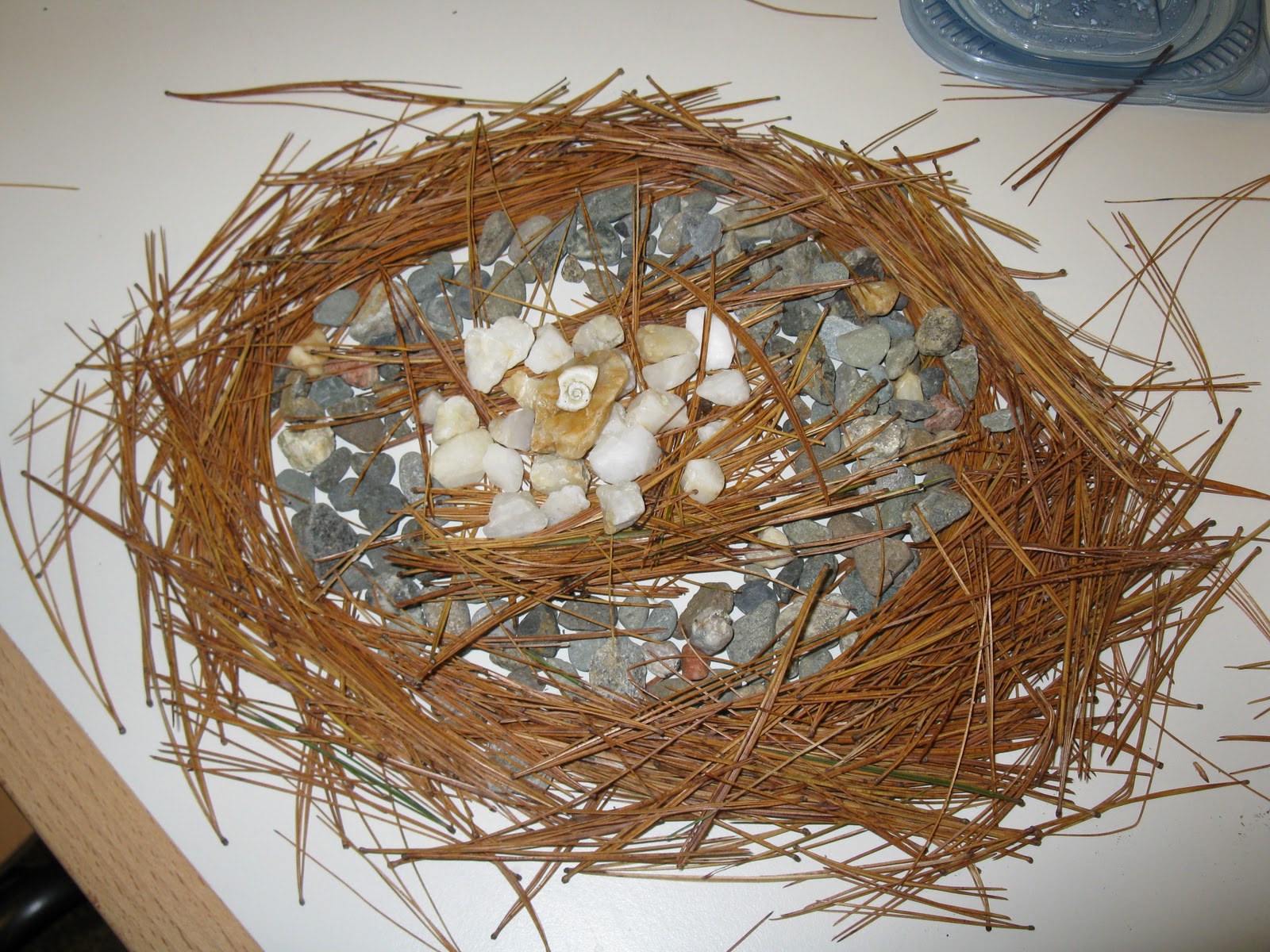 Willard Earth Care Club Found Object Art In The Style Of Andy Goldsworthy