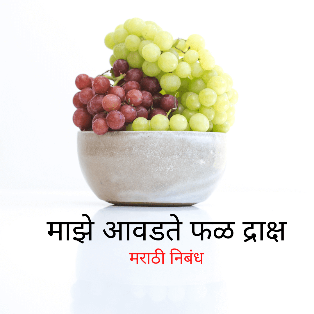 माझे आवडते फळ द्राक्ष मराठी निबंध My favorite fruit Grapes essay in