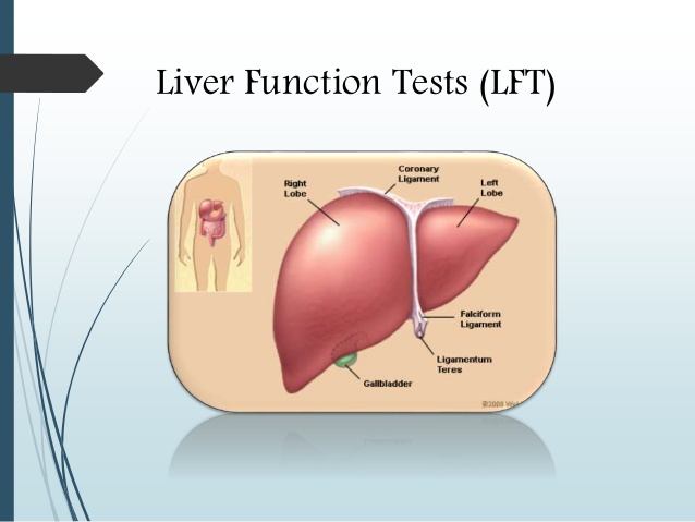 ตรวจ liver function test alt
