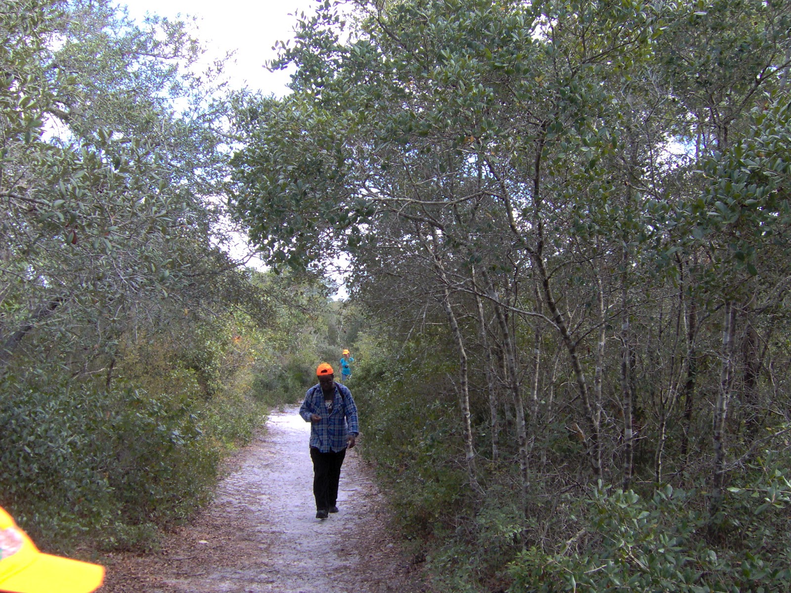WildWildernessWalkers Hiking Lyonia Preserve(Volusia County Florida)