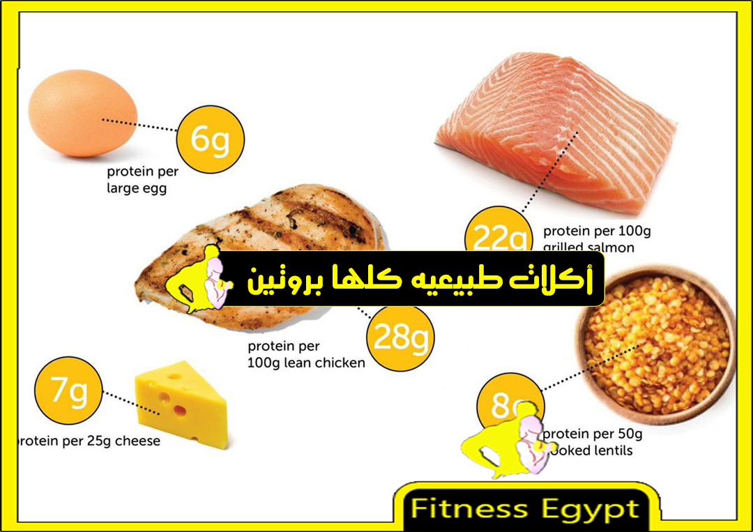 تعتبر الدجاج من البروتين الحيواني