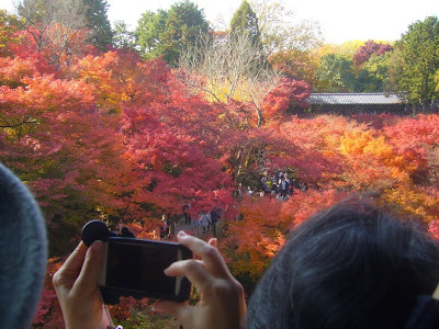 東福寺の紅葉　通天橋〔絶景〕