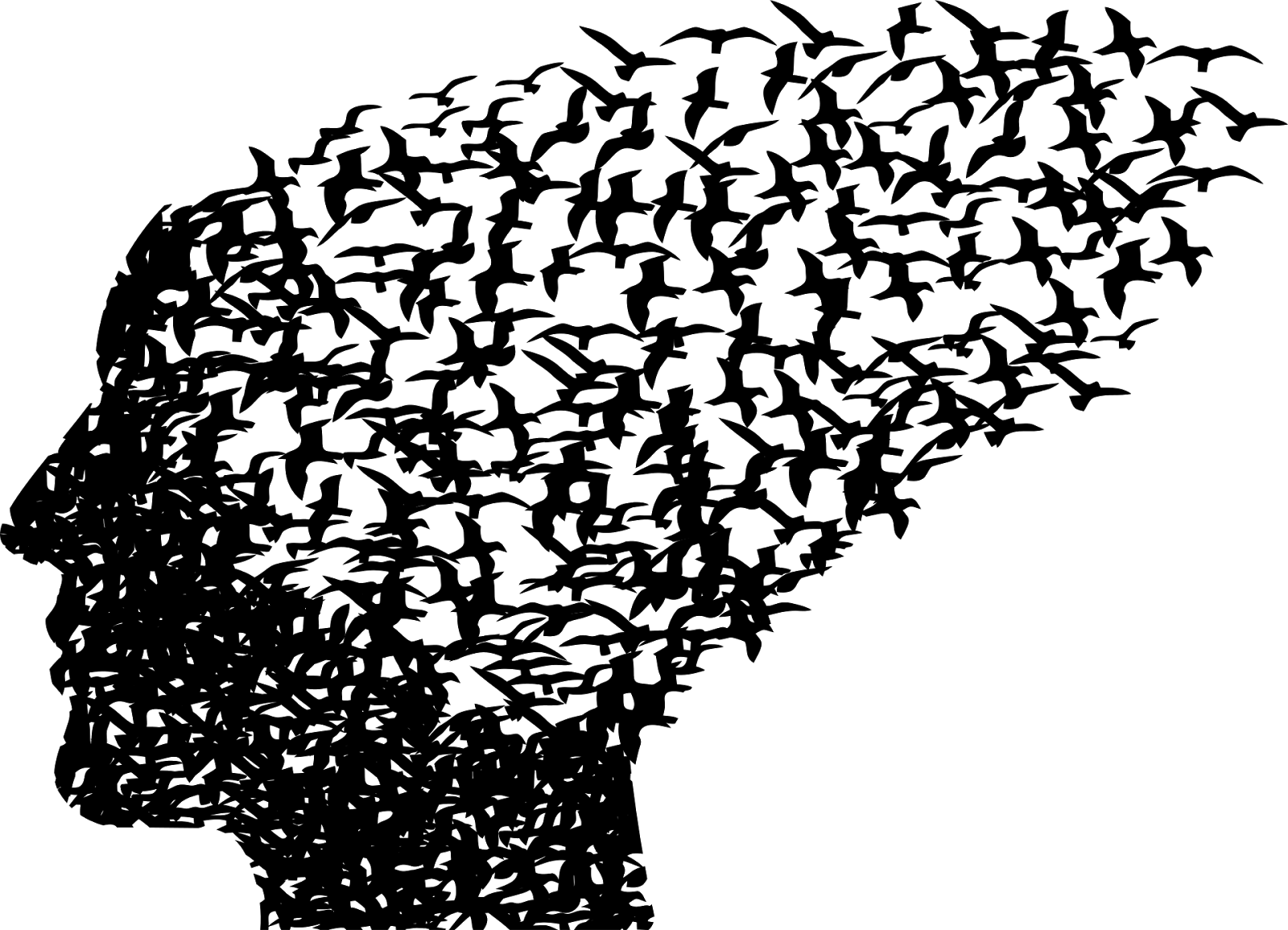 أجمل صور الpng خلفيات png مميزة للكمبيوتر في كوكتيل صور وبس