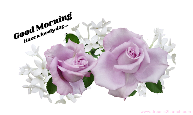 good morning rose