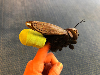 Firefly fingerpuppet