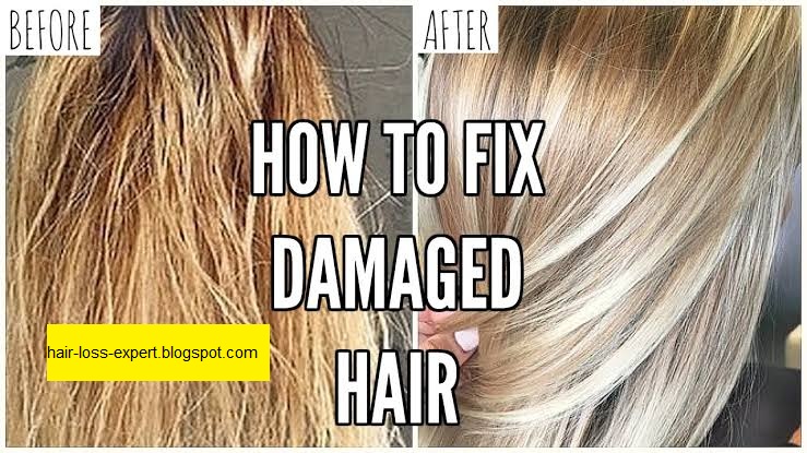 6 Important Tips To Repair Damaged Hair To Life Quickly Keep The