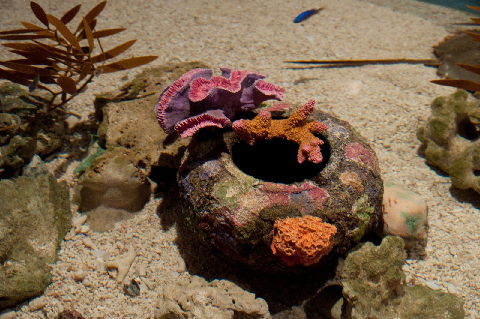 Behold the beauty of our mysterious world, cultures and people KL