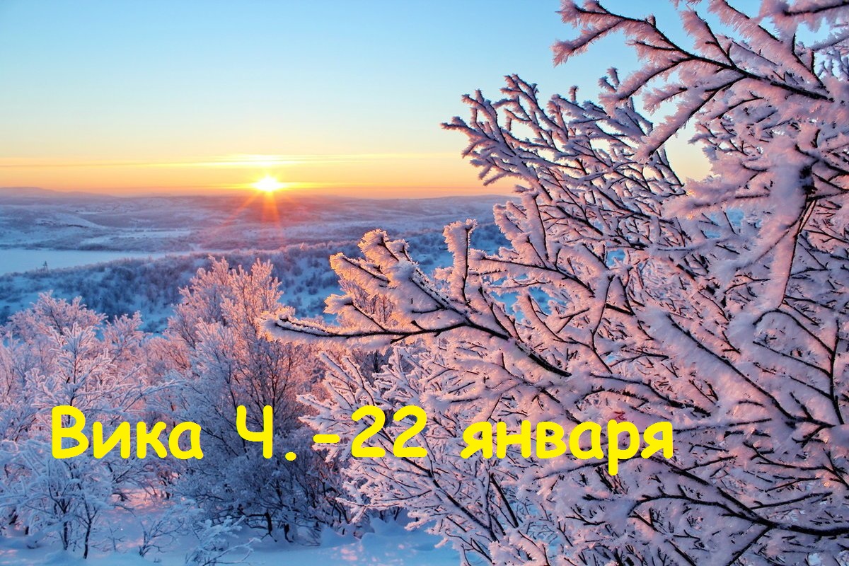 Живинка в деле: Вике Ч.-12 лет!