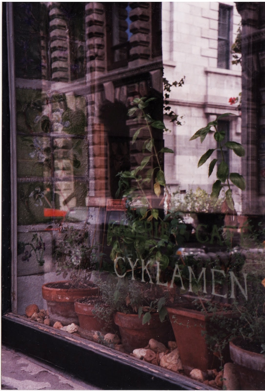 Writing with Light Spring is like a perhaps hand