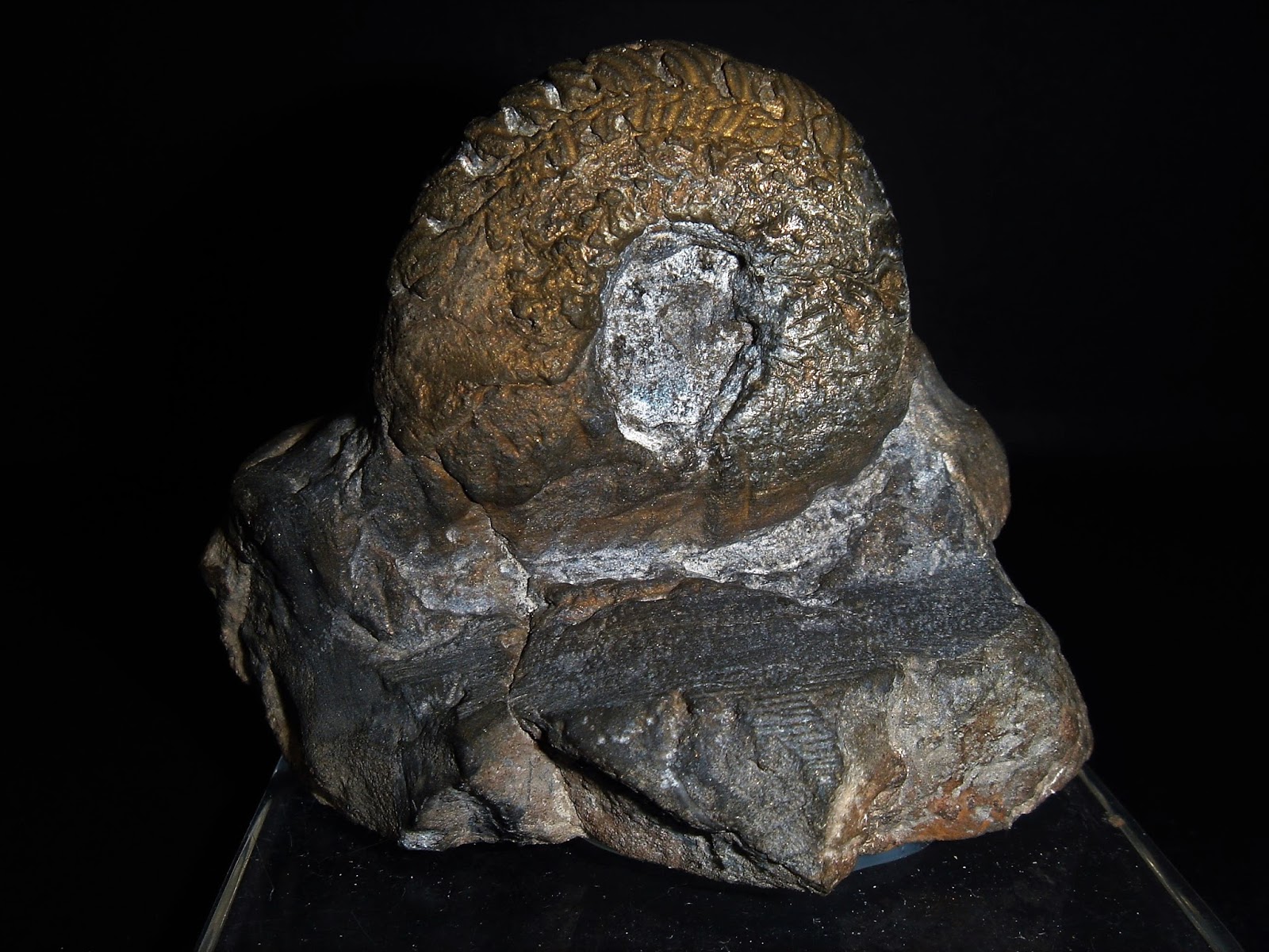 BBRBET cassino online recebe conformidade bônus criancice boas-vindas para aprestar busca-níqueis aquele jogos CRASH!