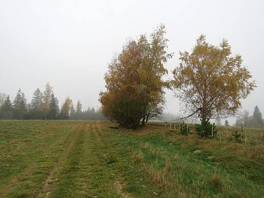 Łąki. Łąki.