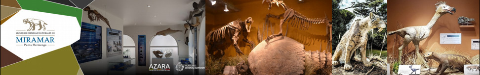 Visita nuestro Museo de Ciencias Naturales de Miramar.    www.museodemiramar.com.ar