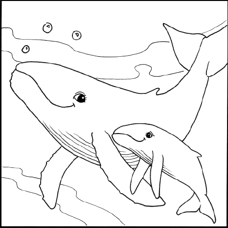 Baleias  Páginas de colorir com animais, Páginas para colorir, Baleias