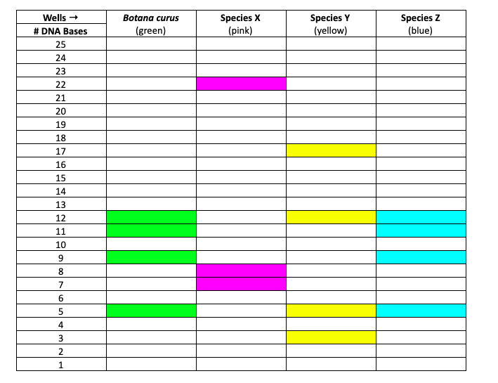 Biology by the Math Mom: Electrophoresis and the Relationships and