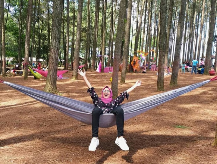 Wana Wisata Pokland Cianjur Harga Tiket Masuk dan Lokasi