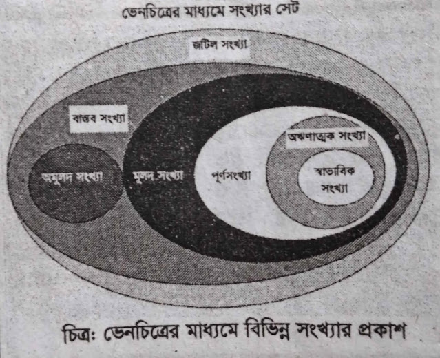 ভেনচিত্রের মাধ্যমে সংখ্যার শ্রেণিবিভাগ