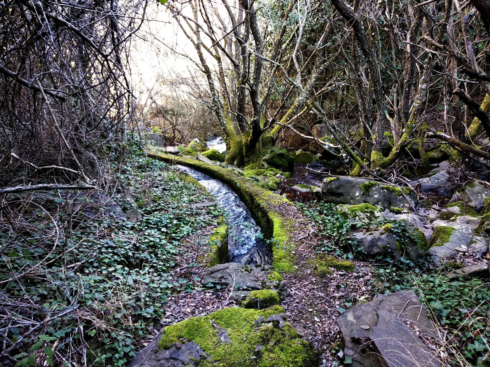 Nacimiento Rio Huecha por el barranco Morana