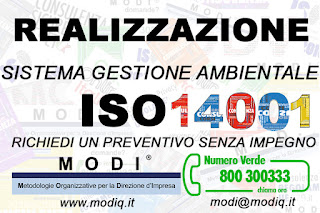 REALIZZAZIONE%2BISO%2B14001%2BNUMERI%2B  