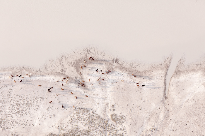 Photography : The African Savannah by Zack Seckler