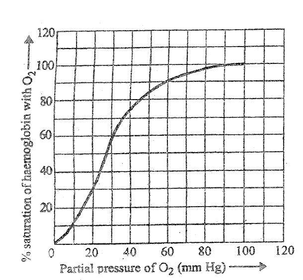 Breathing and Exchange of Gases Class 11 Previous Years Questions