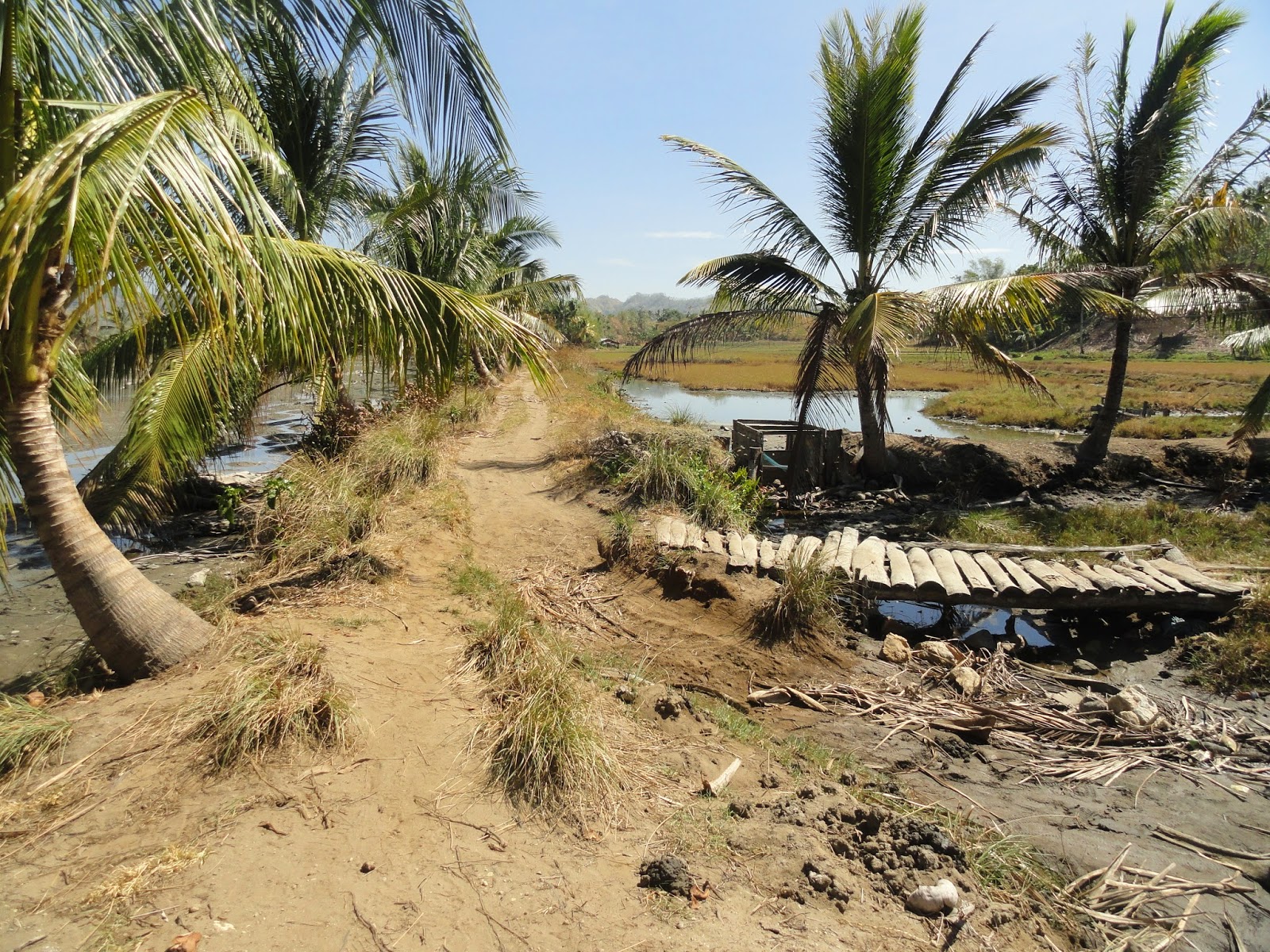 Zamboanga del Sur Properties FOR SALE 13 HECTARES FISHPOND AT TUKURAN