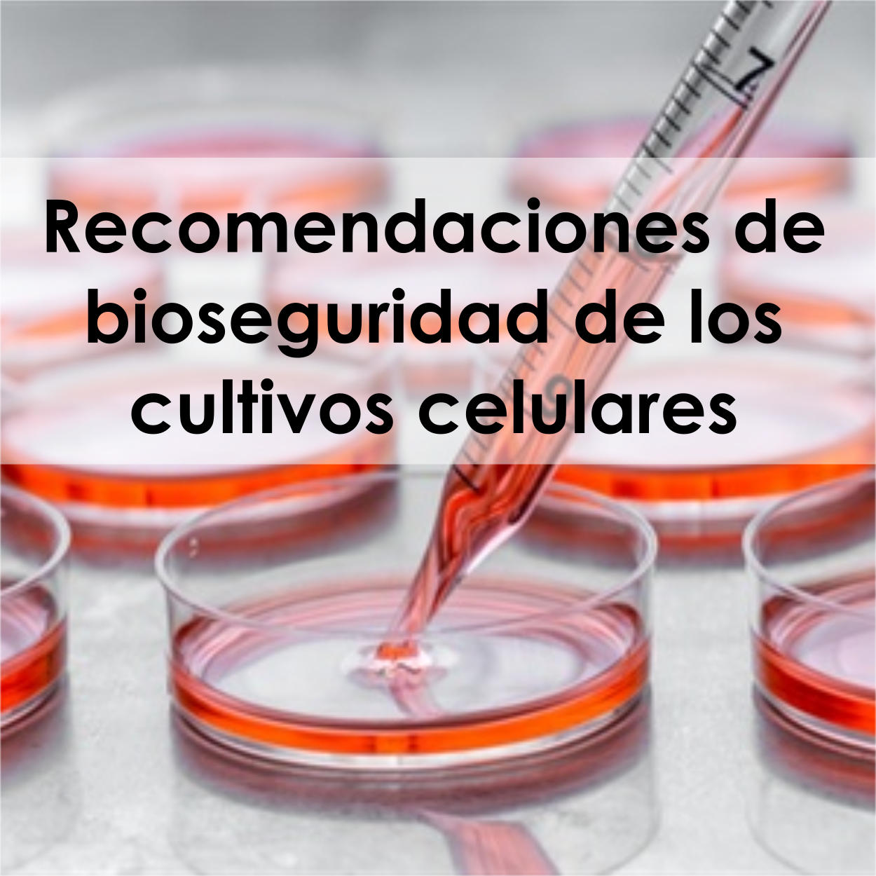 BIOSEGURIDAD Y BIOCUSTODIA Riesgos de los cultivos celulares y de bioseguridad