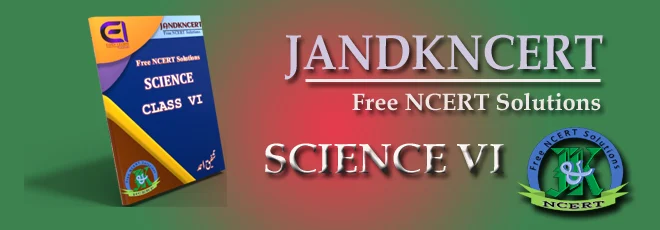 jandkncert | Science 6th |  Questions and Answers