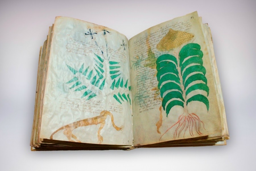 manuscrito-voynich-imagenes manuscrito-voynich-imagenes