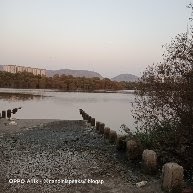 VISITING AWESOME THANE CREEK AND WALKING ITS MANGROVES TRAIL