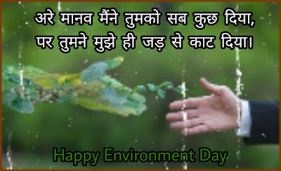 Paryavaran Ke Nare Paryavaran Ke Nare