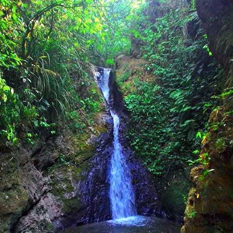 Curug Kaliboyo Desa Purba Bawang Batang