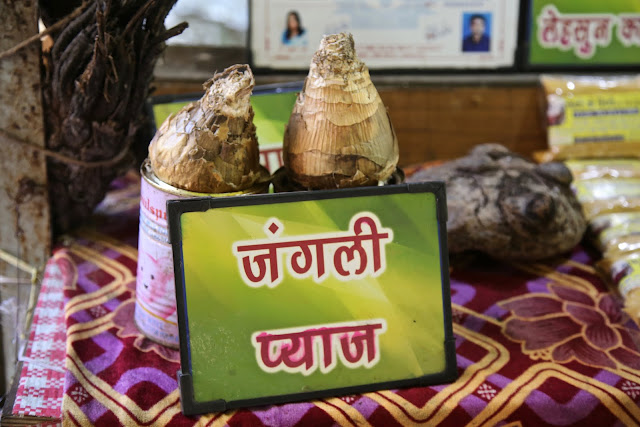 Jungle Onions, Pachmarhi, India, pic; Kerstin Rodgers/msmarmitelover.com