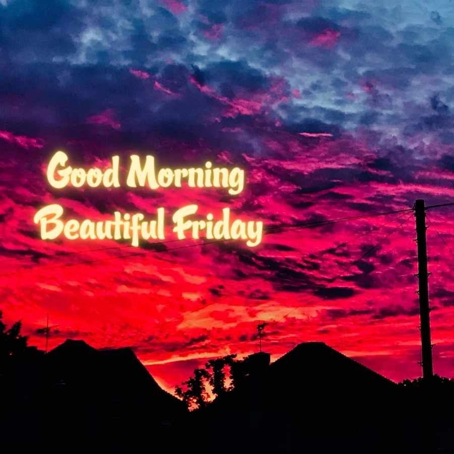 happy friday morning