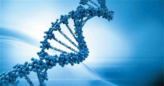 DNA. DNA.