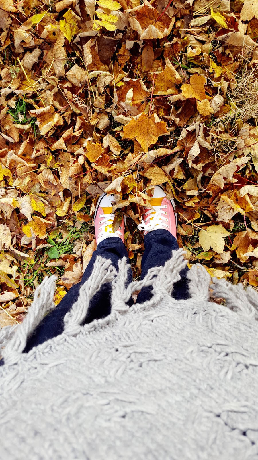 A Walk In Sherwood Forest: What I Wore