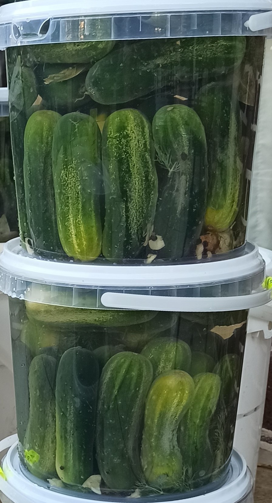 Steinberg Foods ORDER PICKLES ONLINE